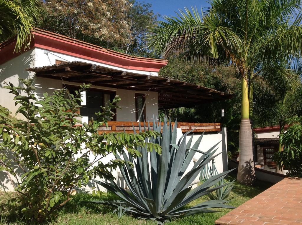 ホテル Casa Flor De Mar シポリテ エクステリア 写真